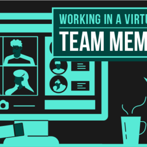 working in a virtual team - team members